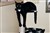Katt5.JPG